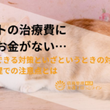 ペットの治療費に払うお金がない…事前にできる対策といざというときの対処法、債務整理での注意点とは